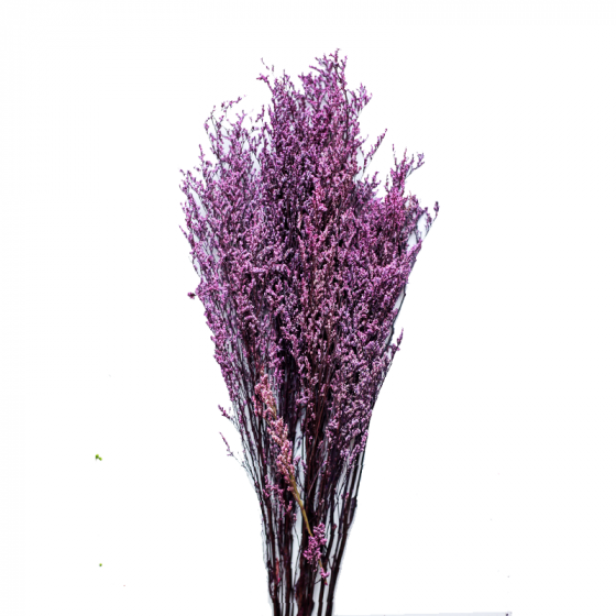 Limonium ARTIFICIELLE